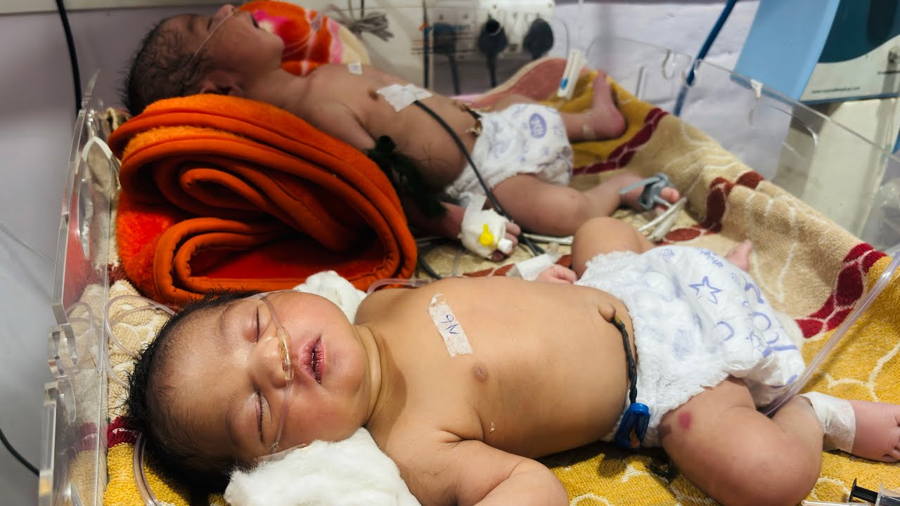 Twin Newborn Babies Sleeping in NICU | Peaceful NICU Twin Baby Moments #twinsbaby #twinnewborns 