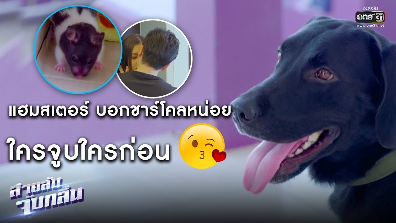 ชาร์โคล สงสัยอยากรู้จังเลย l เรียกน้ำย่อย สายลับจับกลิ่น l 20 ก.ค.62 l one31