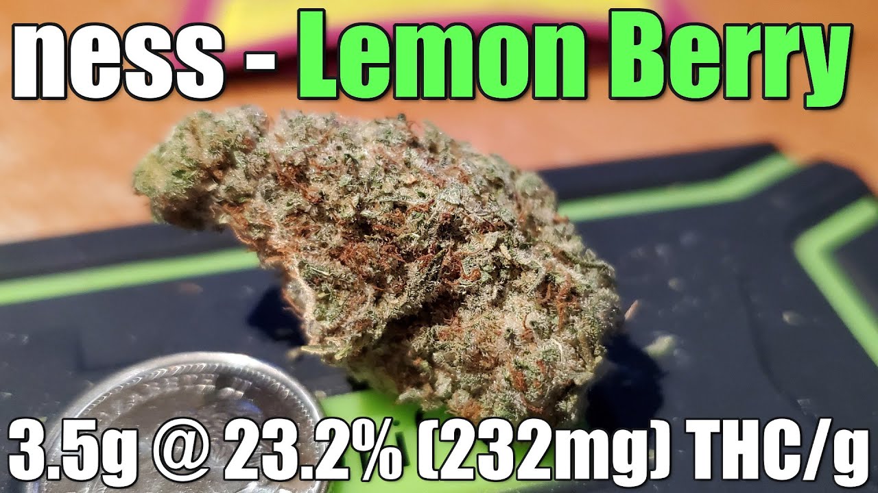 Ness - Lemon Berry - Unboxing Review - 3.5g @ 23.2% (232mg) THC/g (+Extreme Closeups)