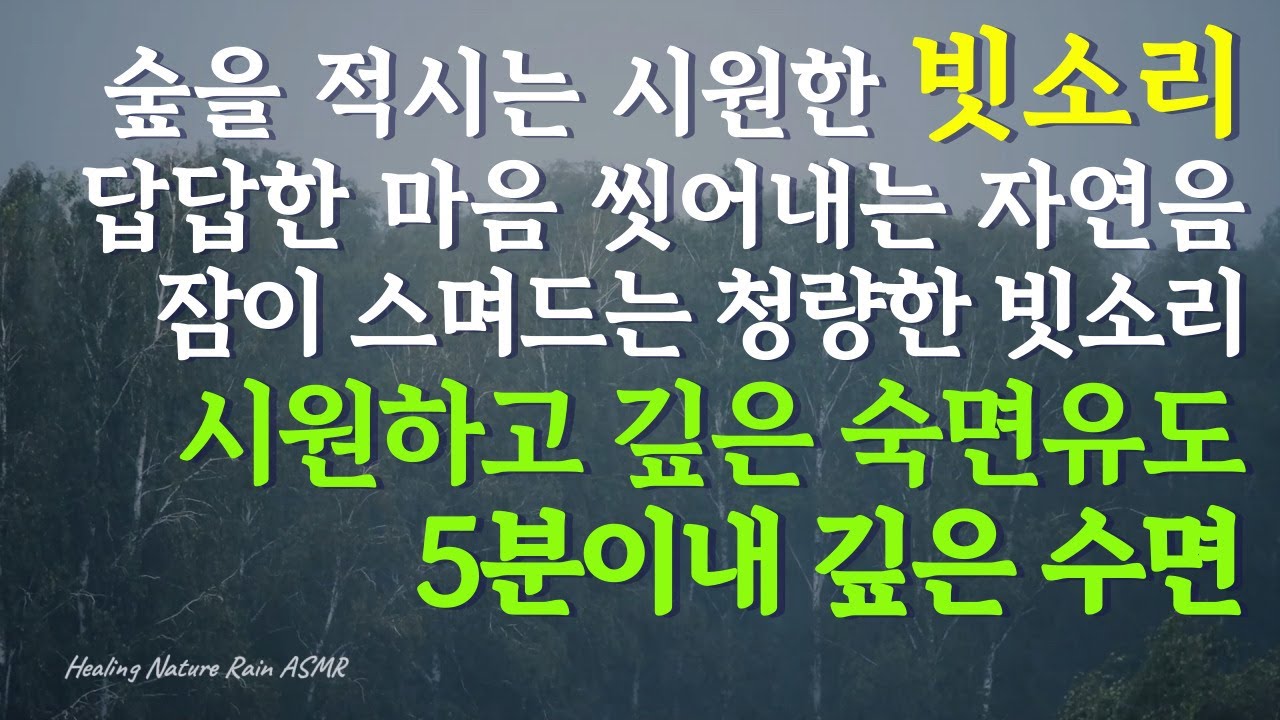시원한 비가 숲을 적십니다  | 답답한 마음까지 씻어내는 자연 수면 소리ㅣ청량한 빗소리에 잠이 스며듭니다  | 시원하고 깊은 숙면을 위한 비소리