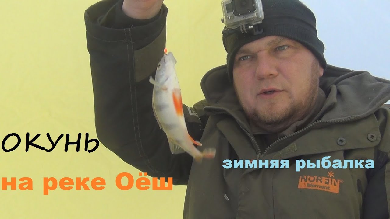 Зимняя РЫБАЛКА на реке ОЁШ на ОКУНЯ. Ловим окуня зимой на МОРМЫШКУ с подсадкой МОТЫЛЯ.
