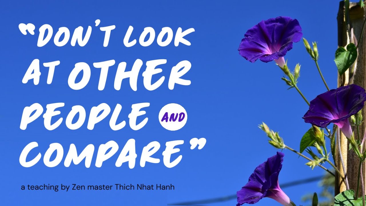 True Needs, Comforts, and Forgetfulness: “Don’t Look At Other People and Compare!” #thichnhathanh