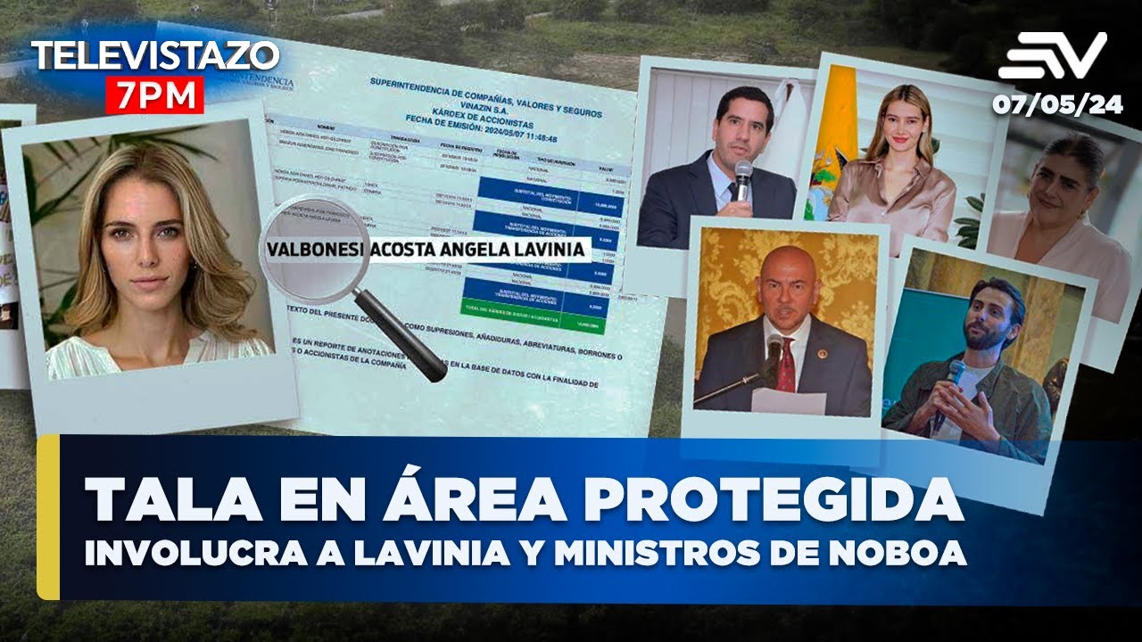 Tala de manglar en área protegida involucra a Lavinia Valbonesi y ministros de Noboa | Televistazo