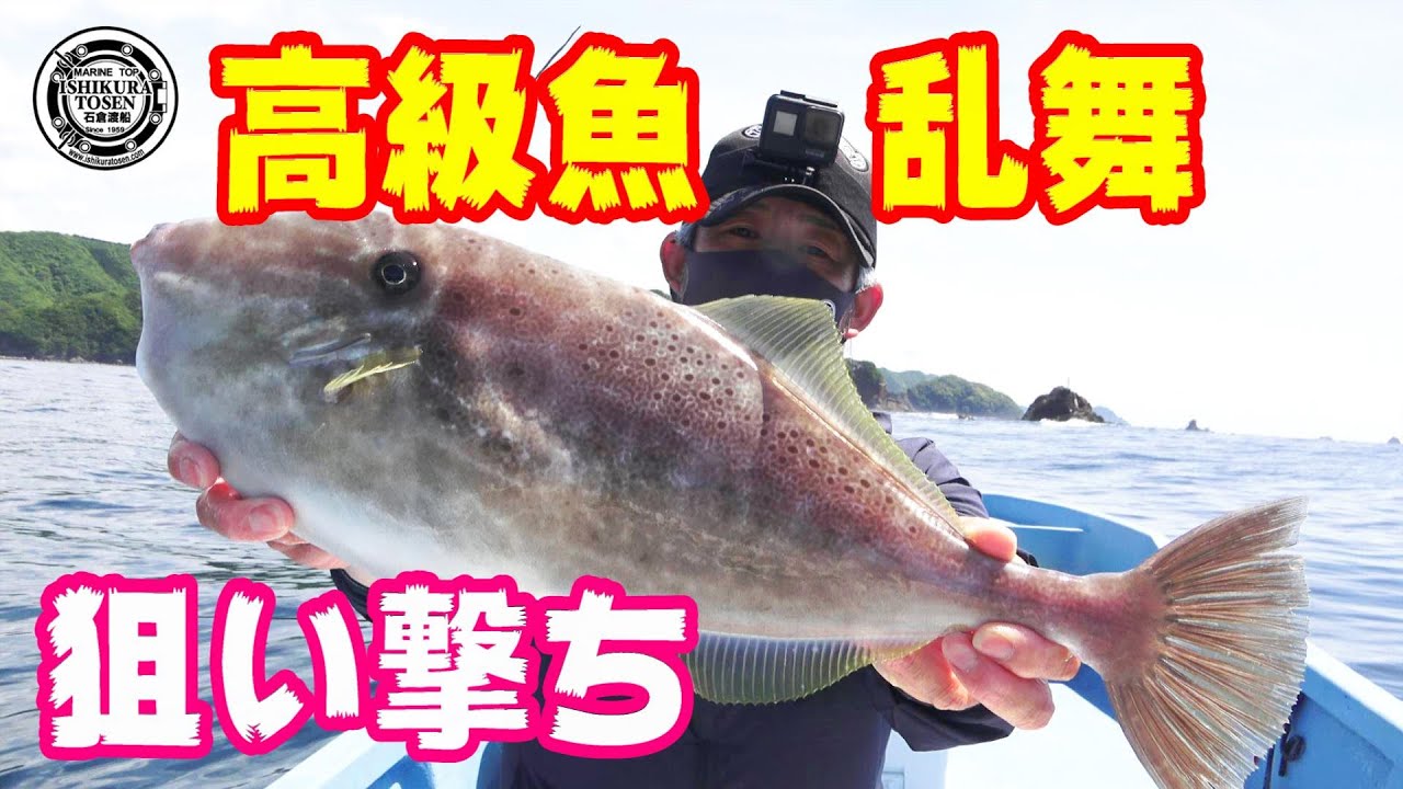 釣って良し！食べて絶品！ウスバハギを狙い撃ち！