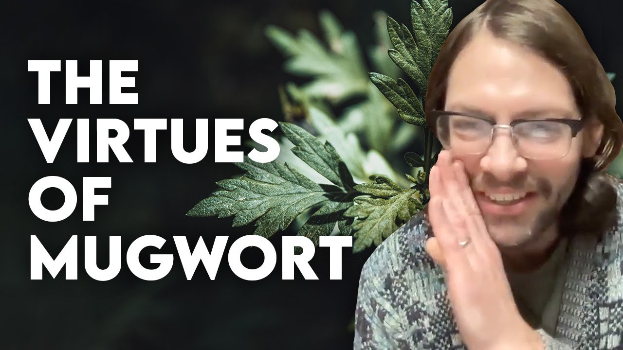 Mugwort Magic & Herbal Wisdom | Stories, Virtues & How to Work With It