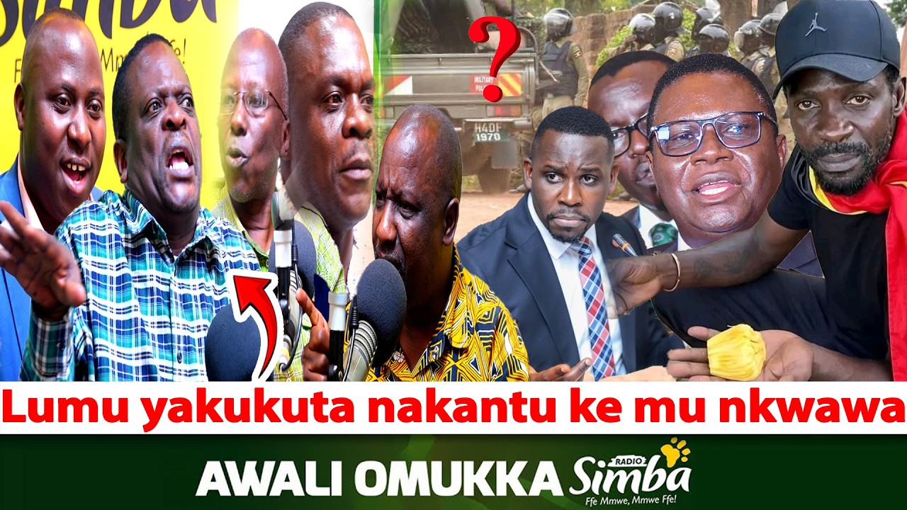 Awali Omukka-Lulume-Ekizibu Lumu kyeyakola kwekukuta netteeka lye mu nkwawa. Ani yalyongeramu ebintu