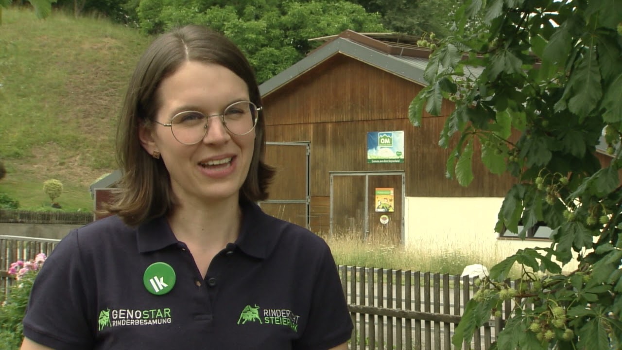 Steirische Landwirtschaft: Das Leben einer Milchkuh