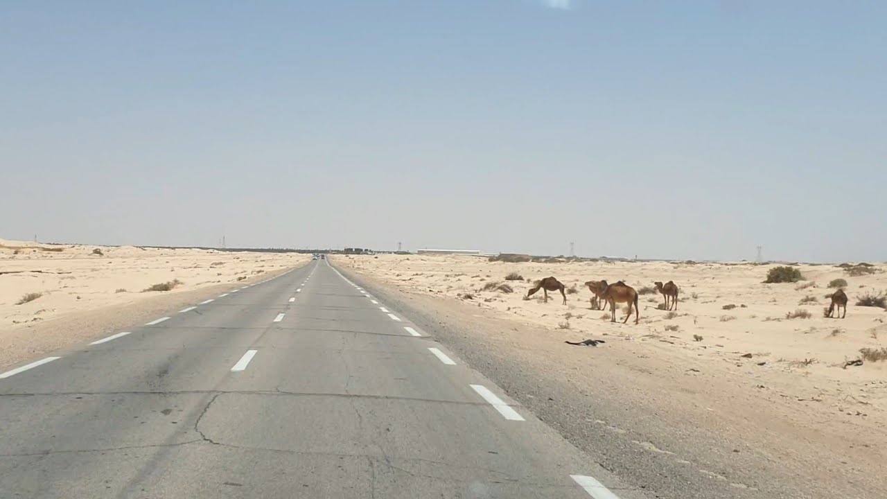 Annaba ouargla touggourt Algeria (part 05)- car Driving - #algeria #annaba #ouargla #touggourt