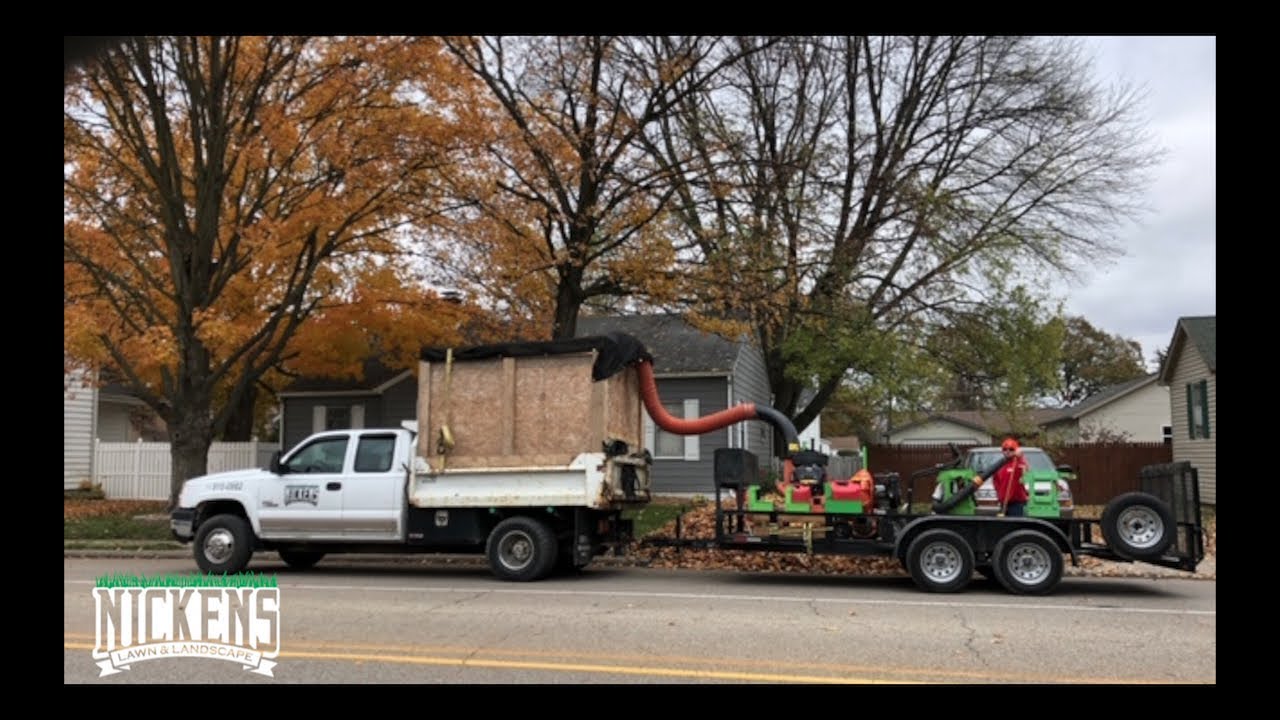 First Fall Clean Up of 2018