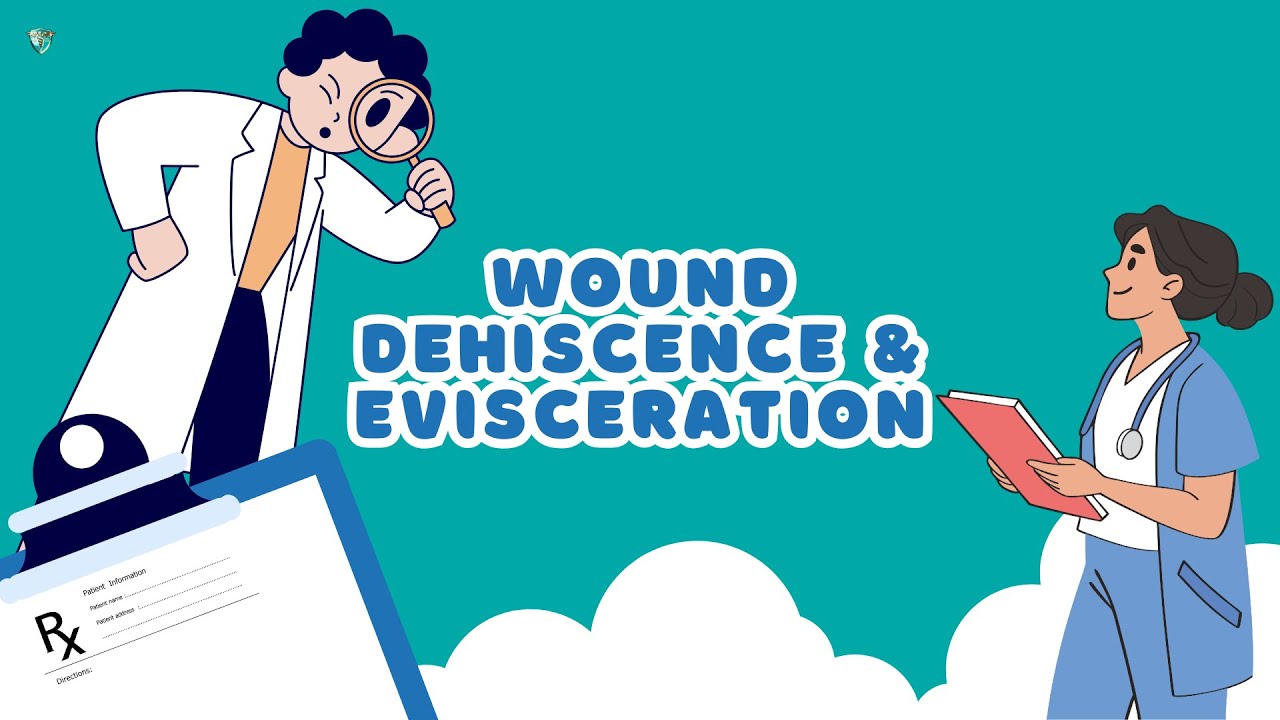 Wound Dehiscence & Evisceration | Nursing Care, Risk Factors, Signs & Prevention