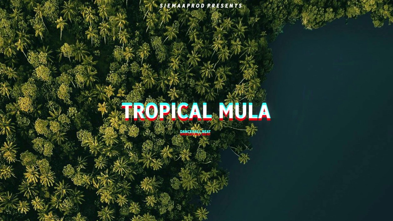 Dancehall instrumental beat 2019 - 
