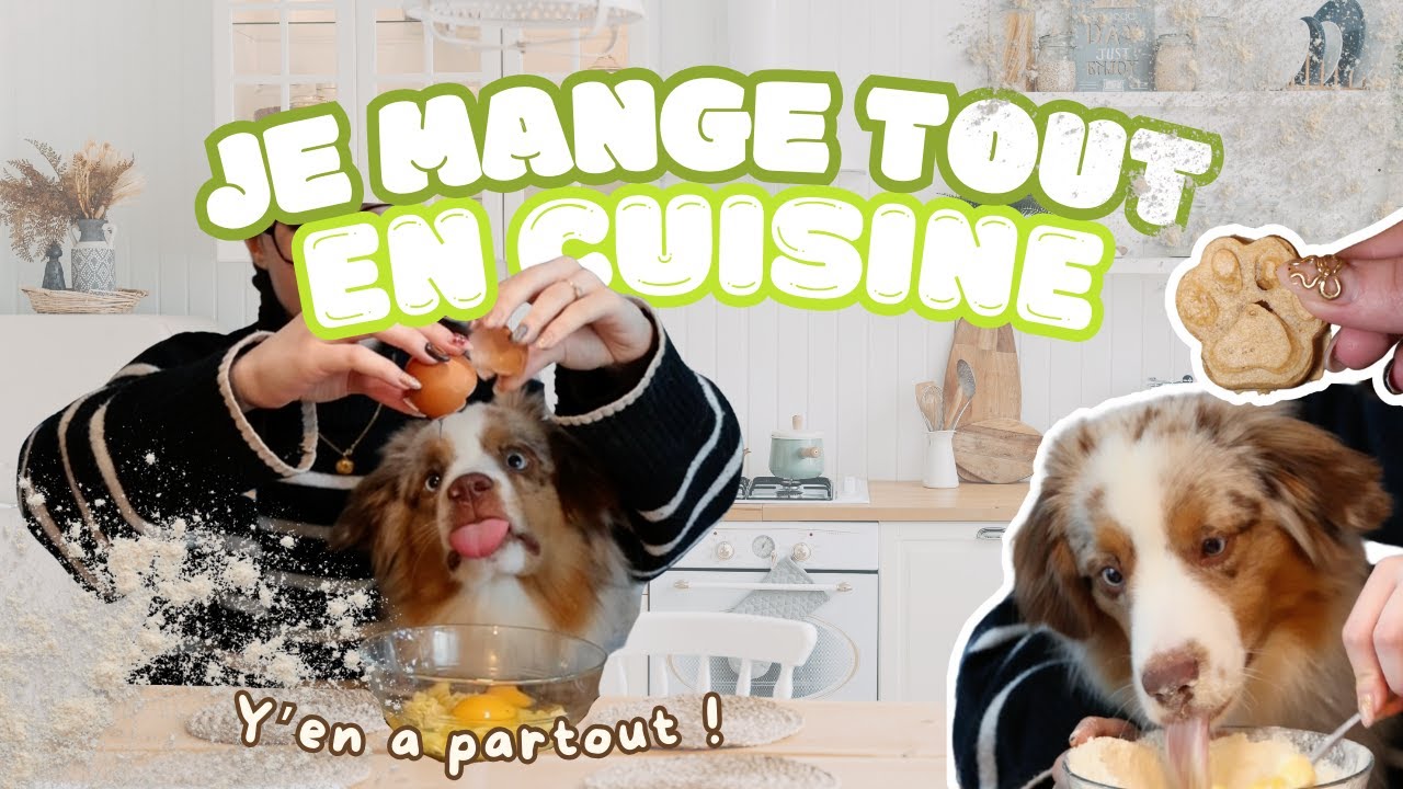 3 recettes simples pour chien - Friandises maison