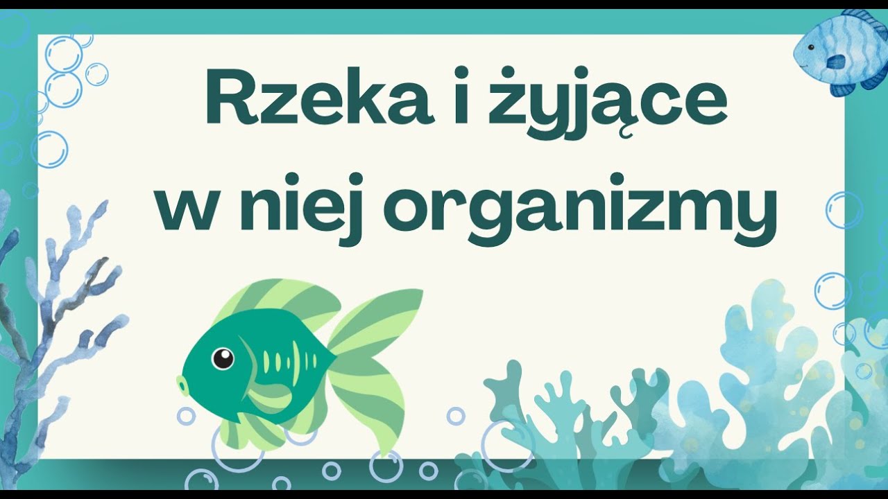 Tajemnice życia w rzece - przystosowanie do życia w rzece. Lekcja przyrody dla klasy 4