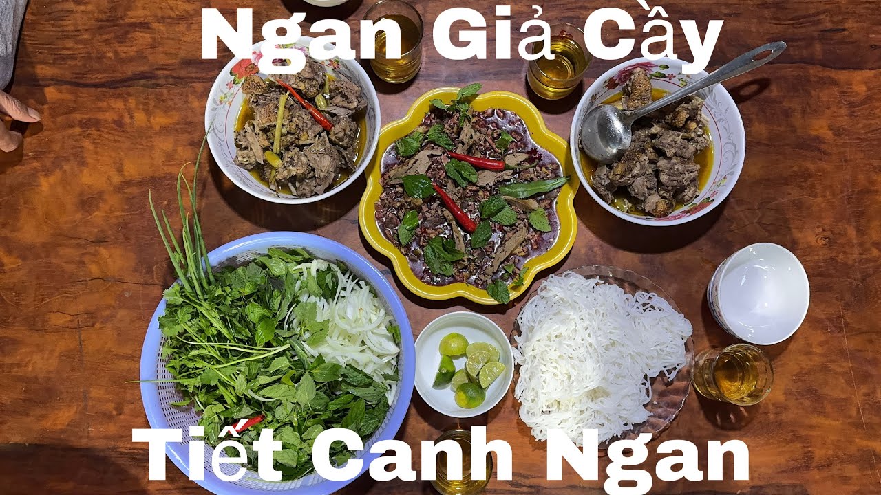 Tiết Canh Ngan.Ngan Giả Cầy. Chiều Chiều Lại Nhớ Chiều Chiều