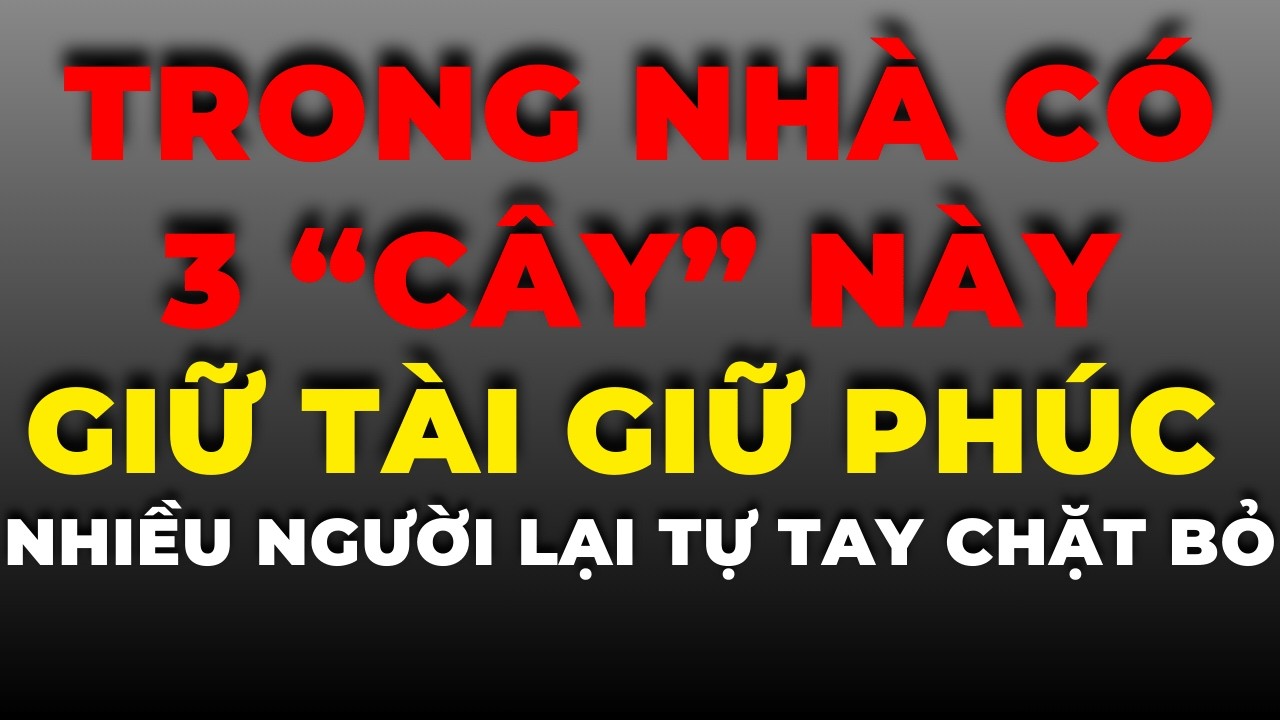 Trong Nhà Có 3 “Cây” Này Là Giữ Tài Giữ Phúc – Nhiều Người Lại Tự Tay Chặt Bỏ