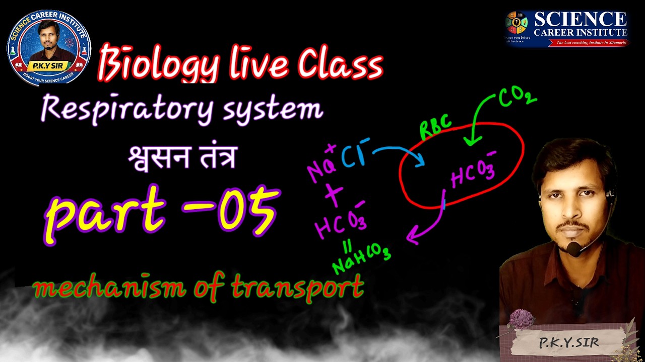 Respiratory system part o5, by- P.K.Y.sir #class11biology