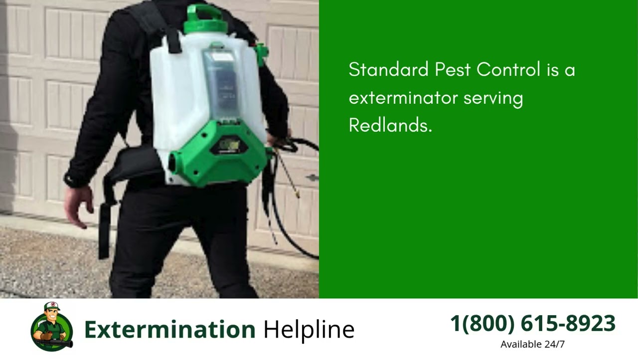 Top 3 Exterminators in Redlands