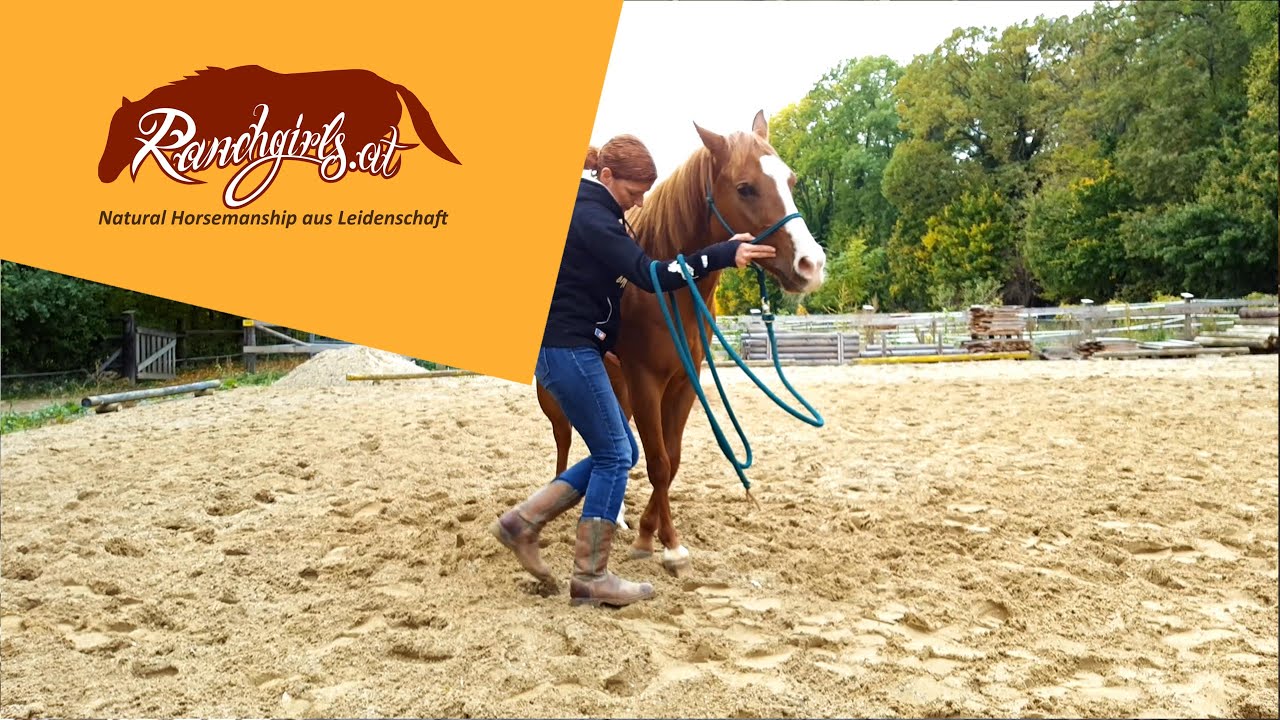 Training L3: Direktes Gefühl: (1) Vorhand weichen, 1 Tritt ohne Begrenzung