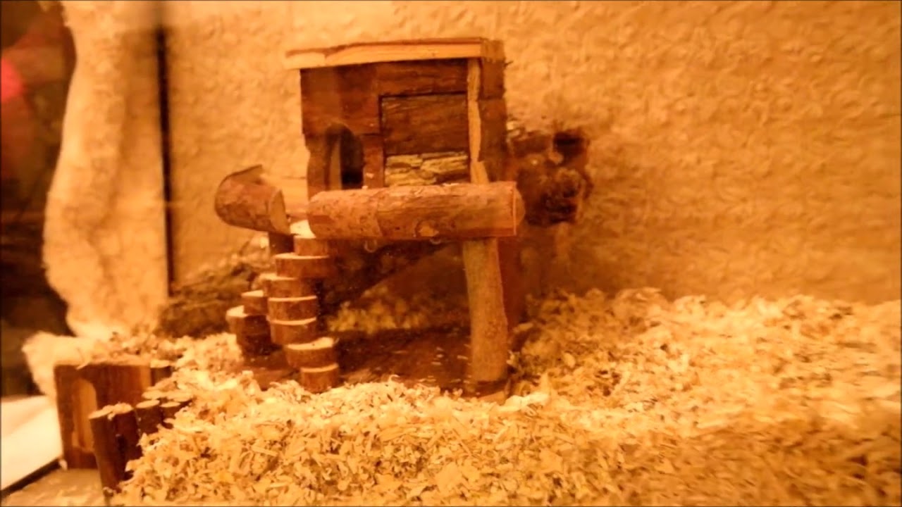 ~ HamsterScaping - Inrichting 80x35x40 - Dwerghamster