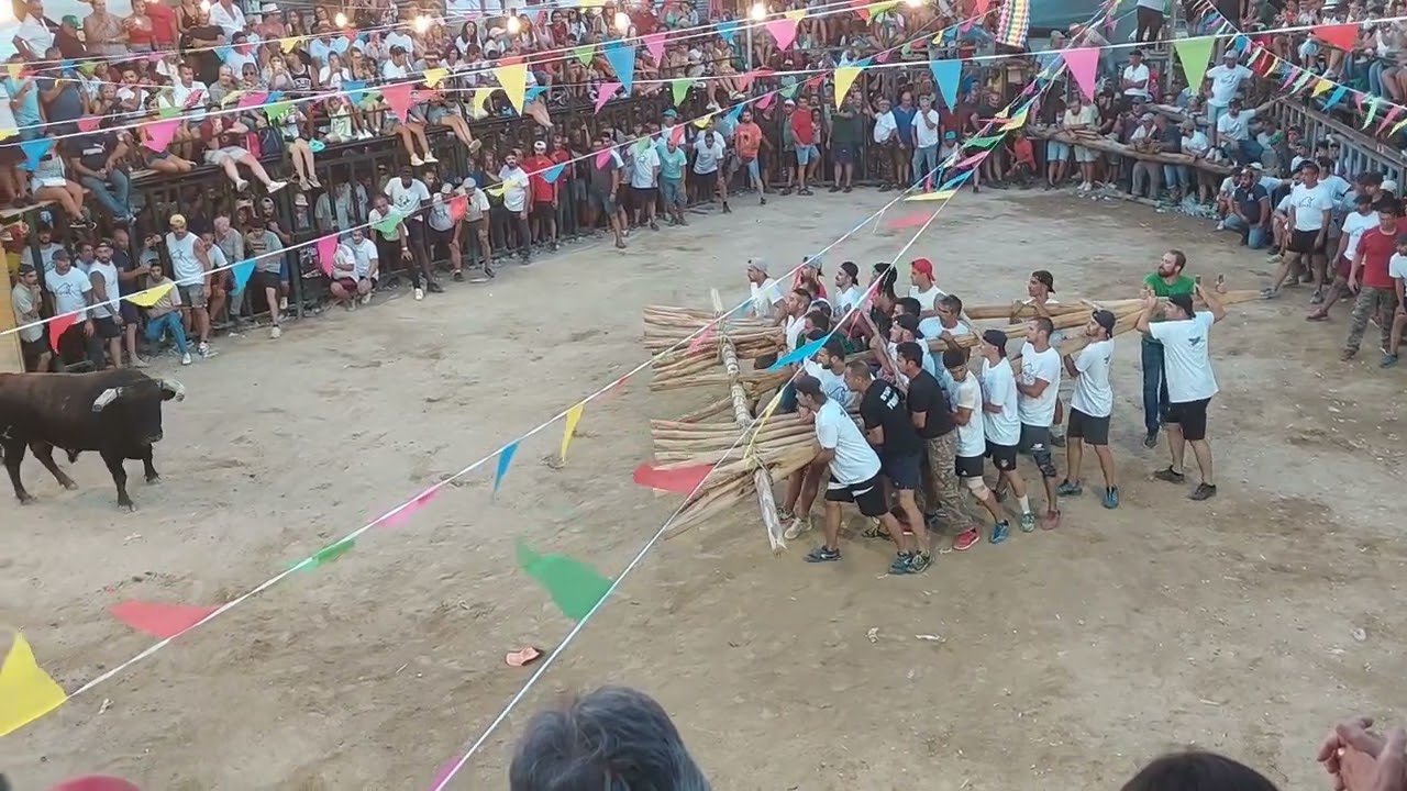 Capeia Fóios 2023 - 5° Touro por baixo do forcão