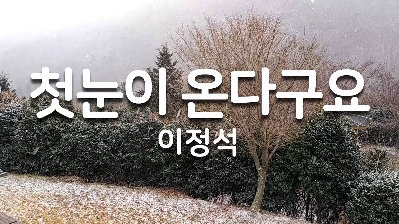 첫눈이 온다구요 - 이정석 #통기타Cover
