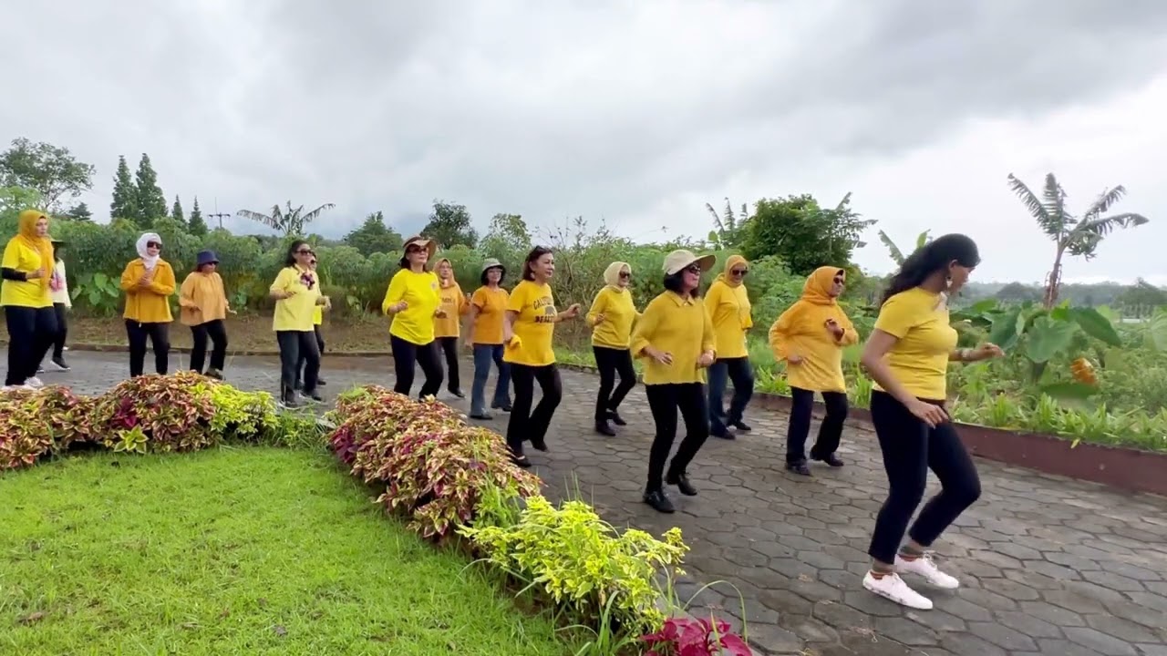 COTTON FIELDS | LINE DANCE | LD JBE 2023-005