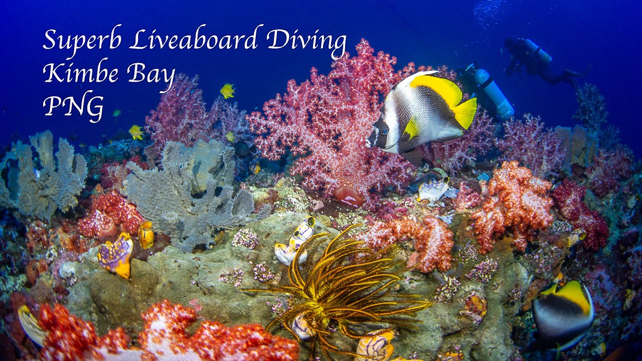 Superb Liveaboard Diving on Kimbe Bay Coral Reefs, NE Papua New Guinea