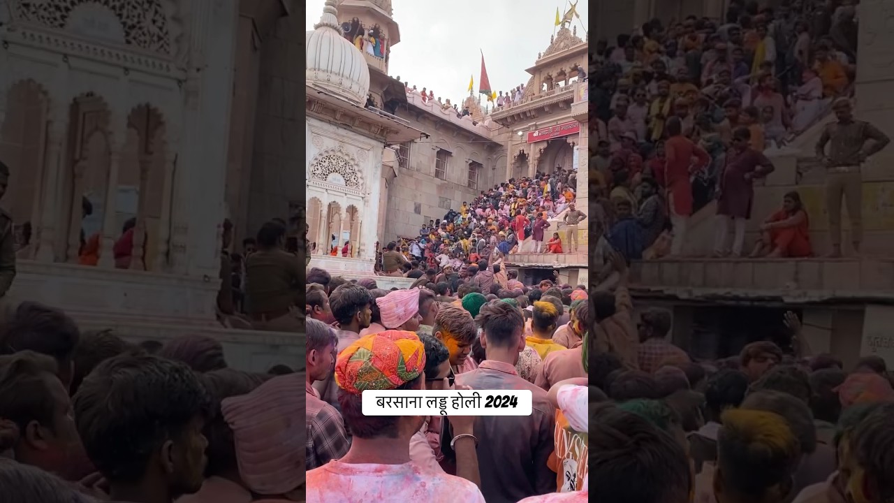 Barsana Holi | Radha Rani Temple  | Holi 2024 #barsana #radharani #temple #holi #video