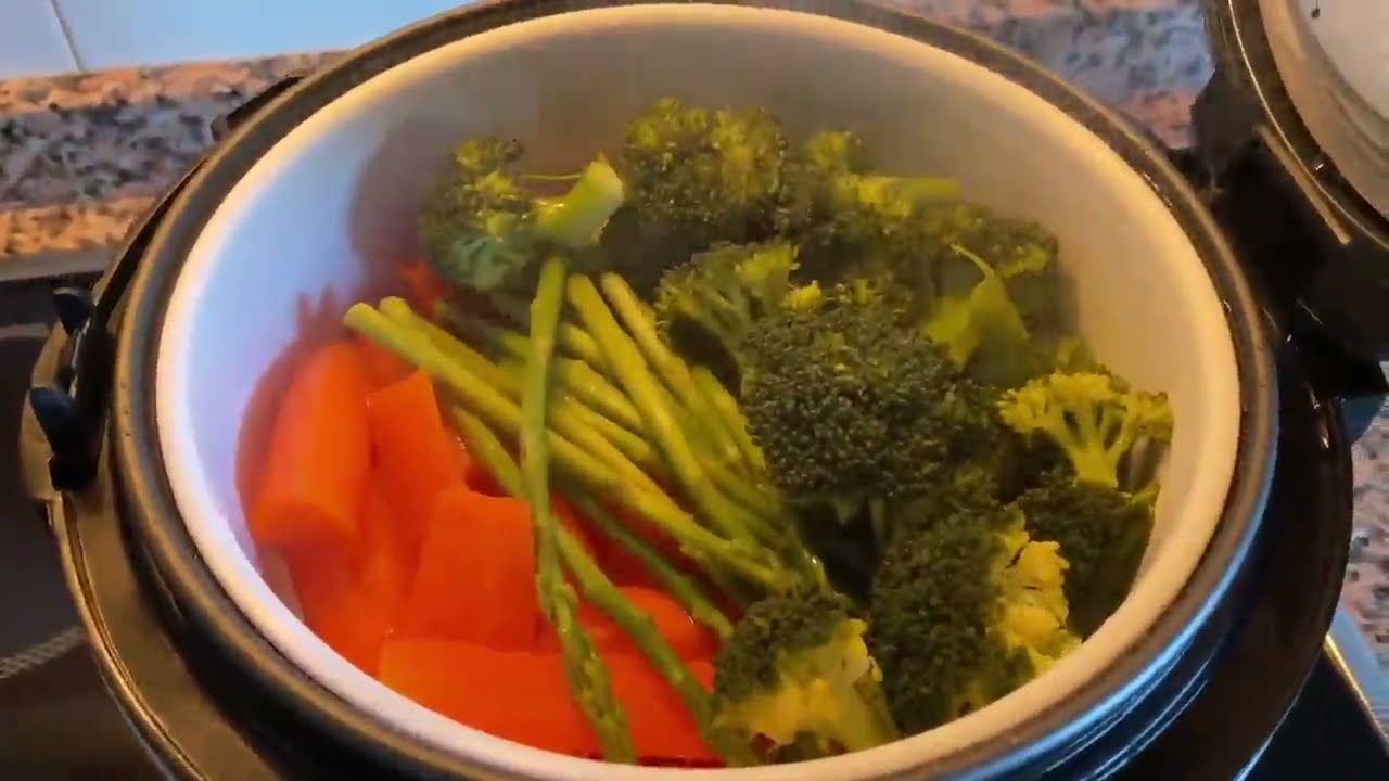 Russell Hobbs Vaporera y Arrocera Grande, Rápida cocción y tamaño reducido