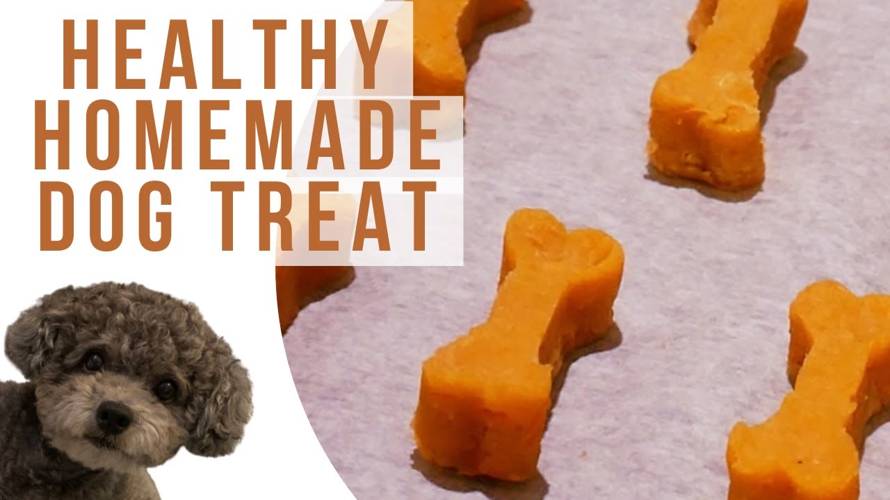 DIY Healthy Dog Treat: Delicious Chicken & Carrot Snack