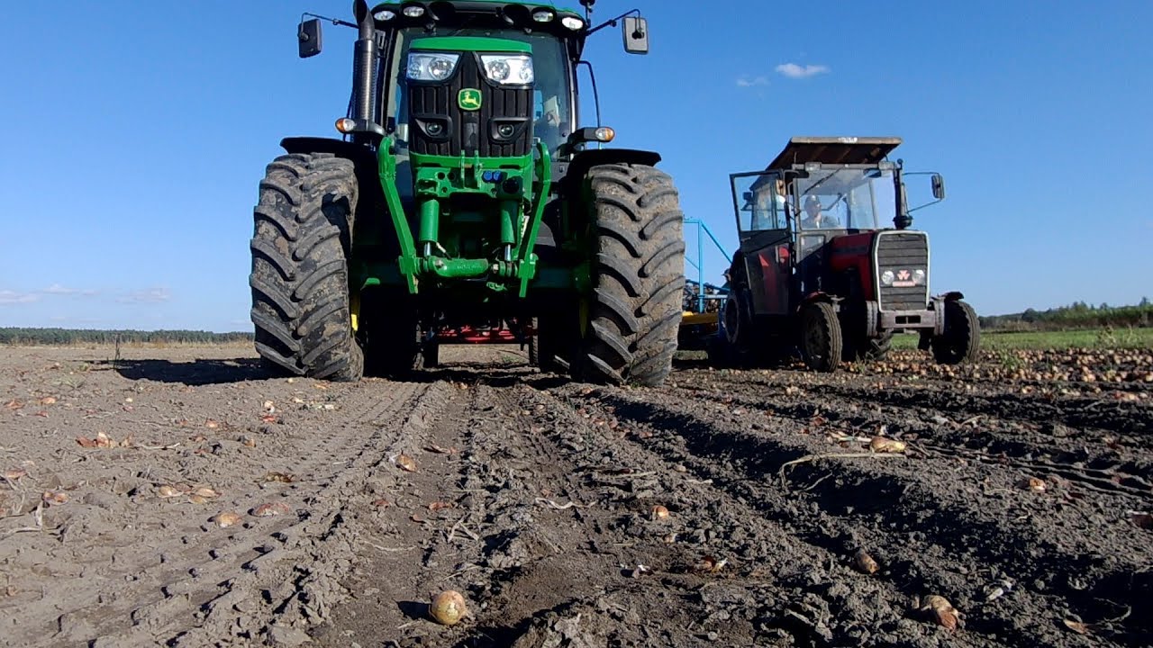 🚜 Zbiór cebuli 2019 Wykopki odc. 1 KRUKOWIAK