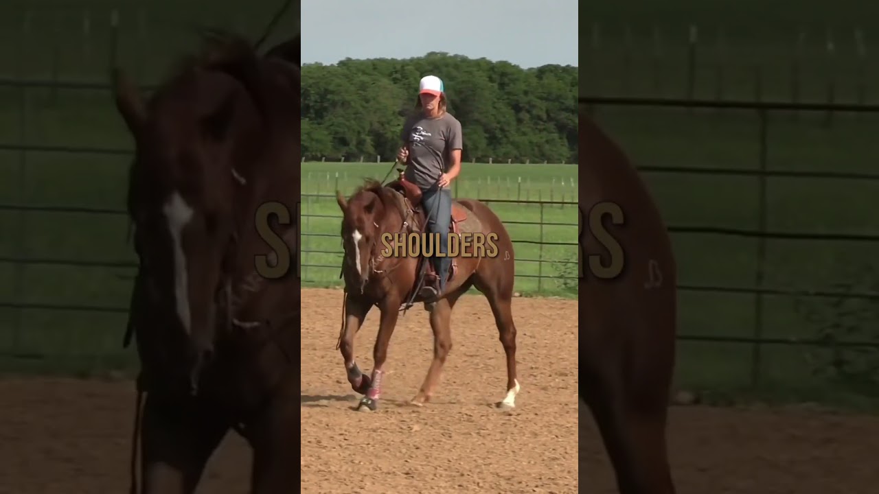 5 Minute Warm Up Routine for Responsive and Soft Barrel Horses