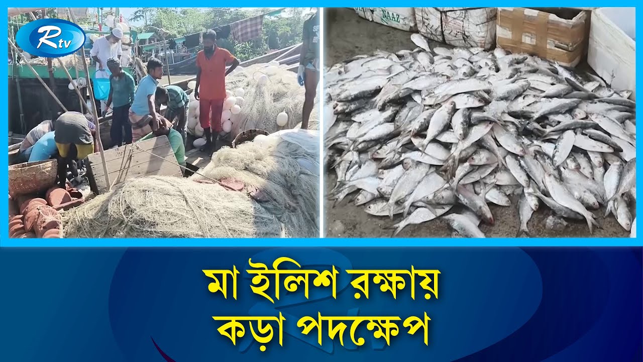 আজ মধ্যরাত থেকে ২২ দিন ইলিশ আহরণ নিষিদ্ধ | Hilsa ban | Rtv News