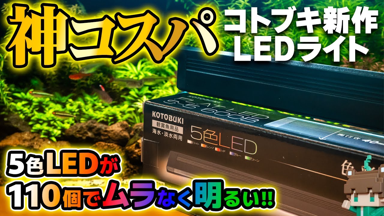 【2025年新商品】注意点あり？コトブキの神コスパ新作LEDライトをレビュー！５色LEDで水草水槽はどう見える？他社LEDとも比較紹介します【ビバアクア】#アクアリウム #熱帯魚