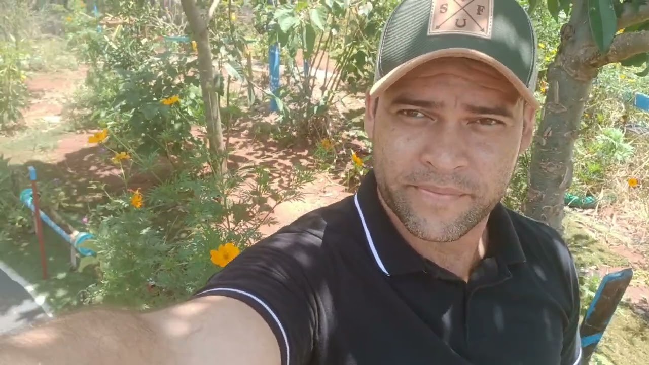 Olha. Que. Lugar bonito