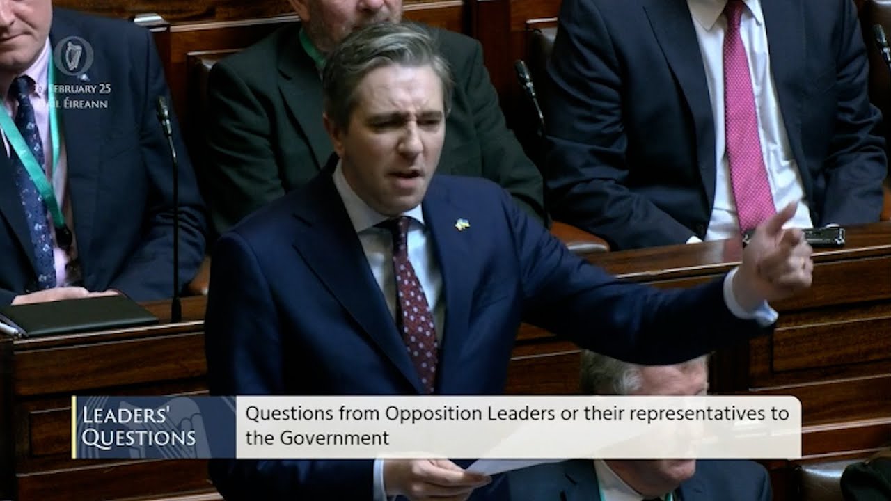 Tánaiste rows with Matt Carthy over speaking rights in Dáil