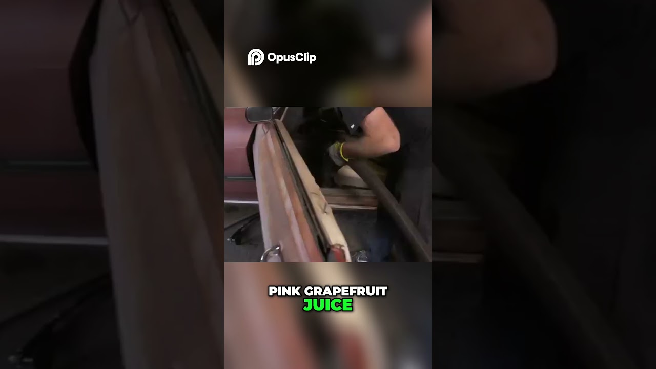 Quarter Window Poop Scoop! Hilarious Carpet Cleaning Fail 