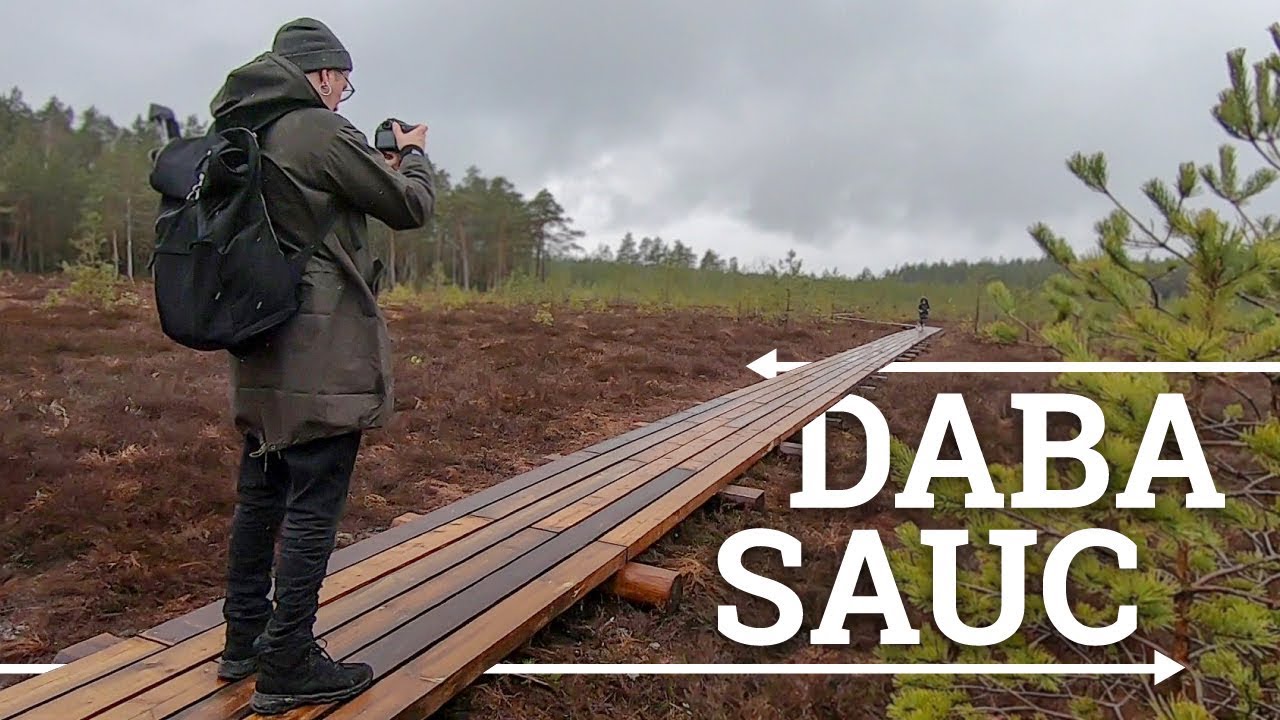 Kangaru skatu tornis un dabas taka