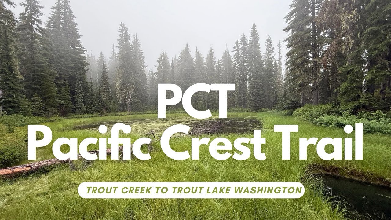 PCT Pacific Crest Trail hiking in Washington from Trout Creek to Trout Lake