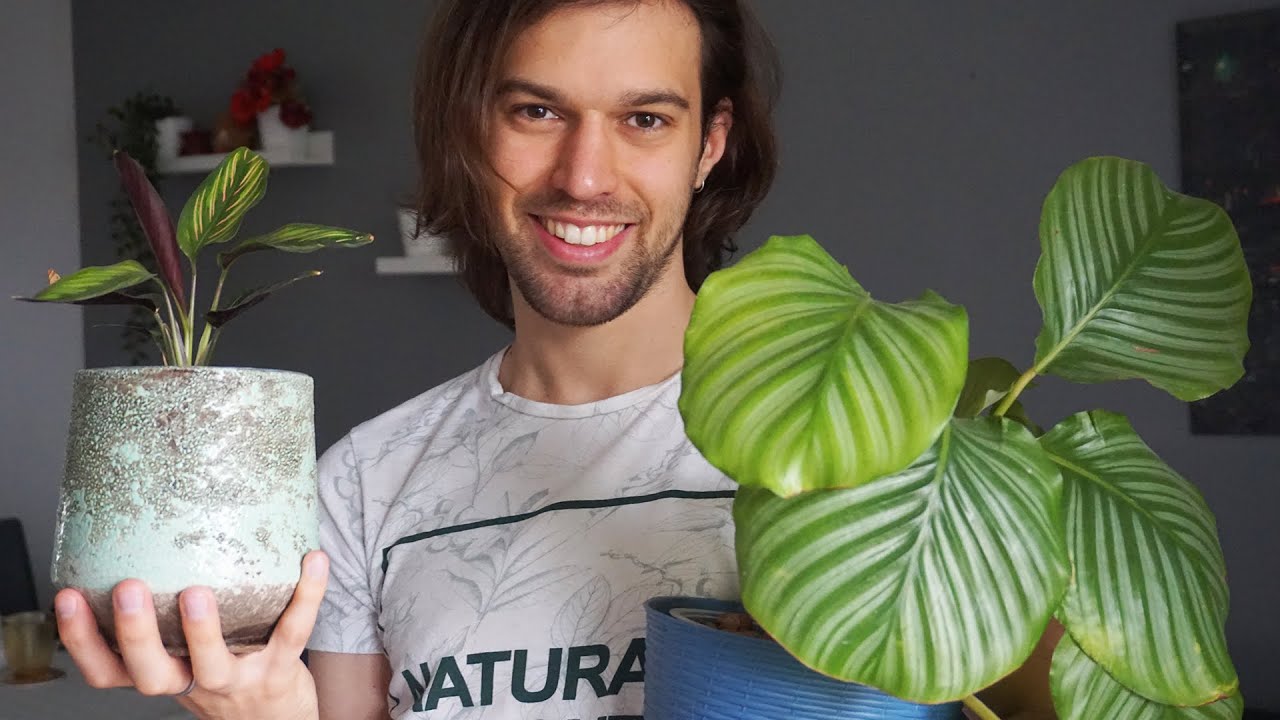 🌱8 Cose sulla semi idroponica 💧che devi ASSOLUTAMENTE sapere