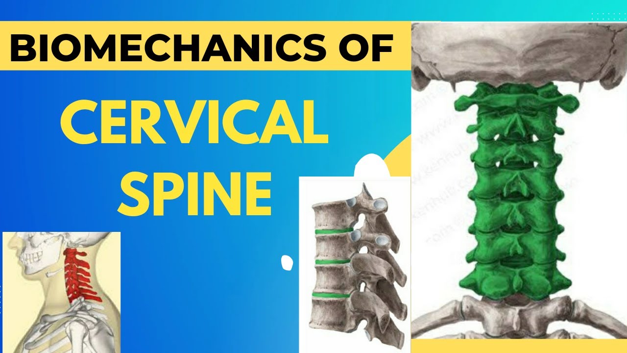 Biomechanics of Cervical Spine- with notes in detail explanation.