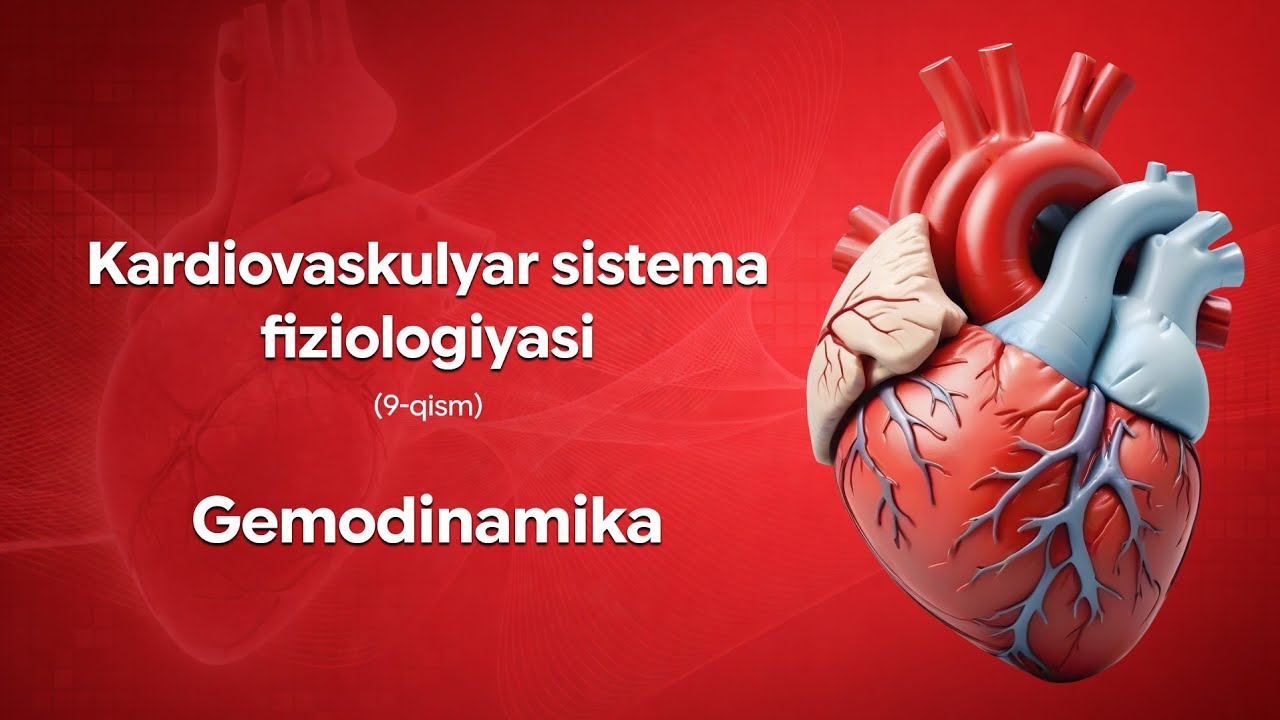 Kardiovaskulyar sistema fiziologiyasi (9-qism). Gemodinamika 