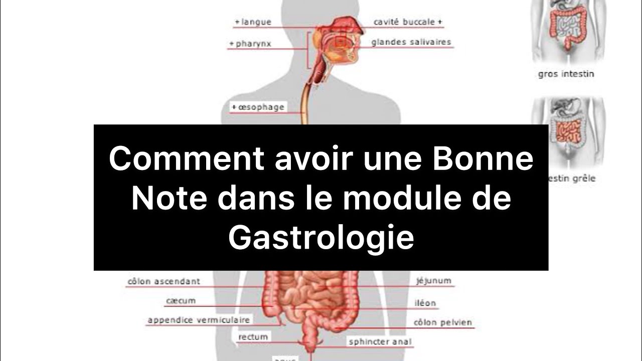 🔻Tous ce que vous devez connaitre sur le module de Gastrologie | 4 ème année medecine !