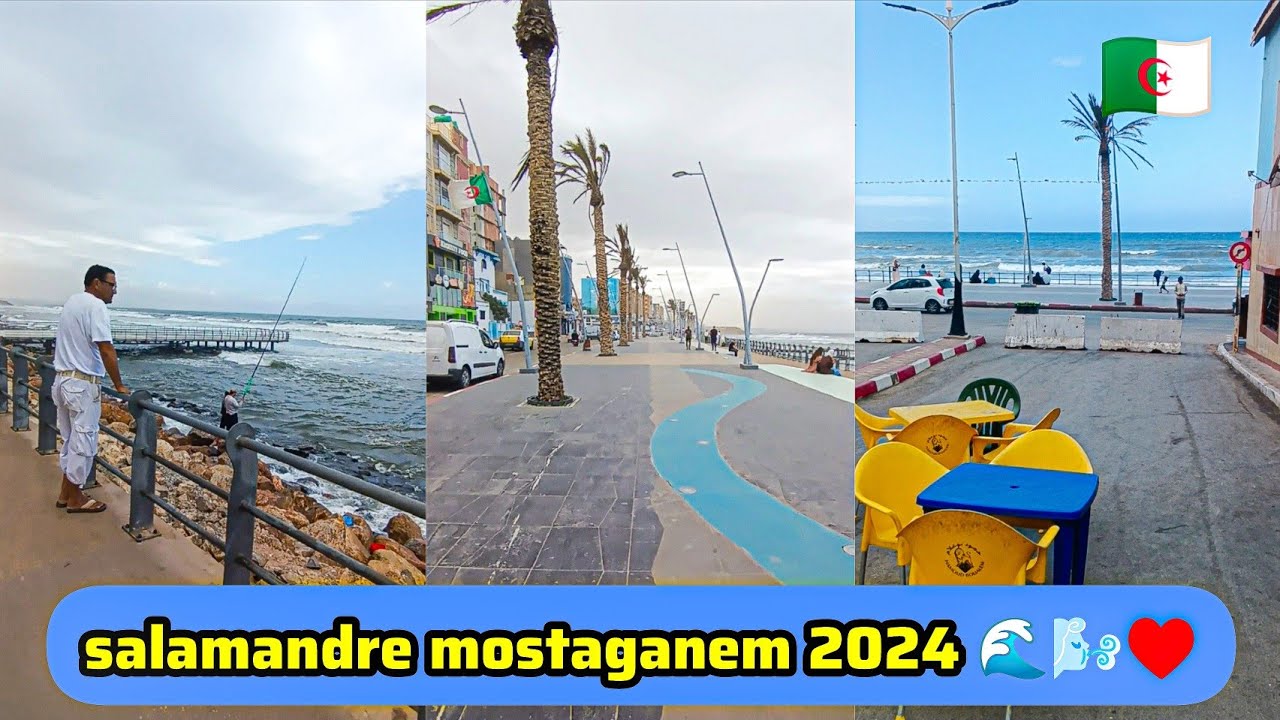 اكتشف معي سلمان مستغانم الجديدة salamandre mostaganem 2024