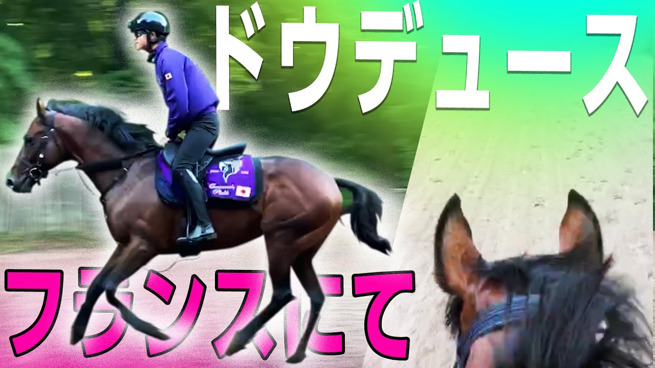 【ドウデュース、フランス到着】大迫力の調教映像も公開!!凱旋門賞に向けて