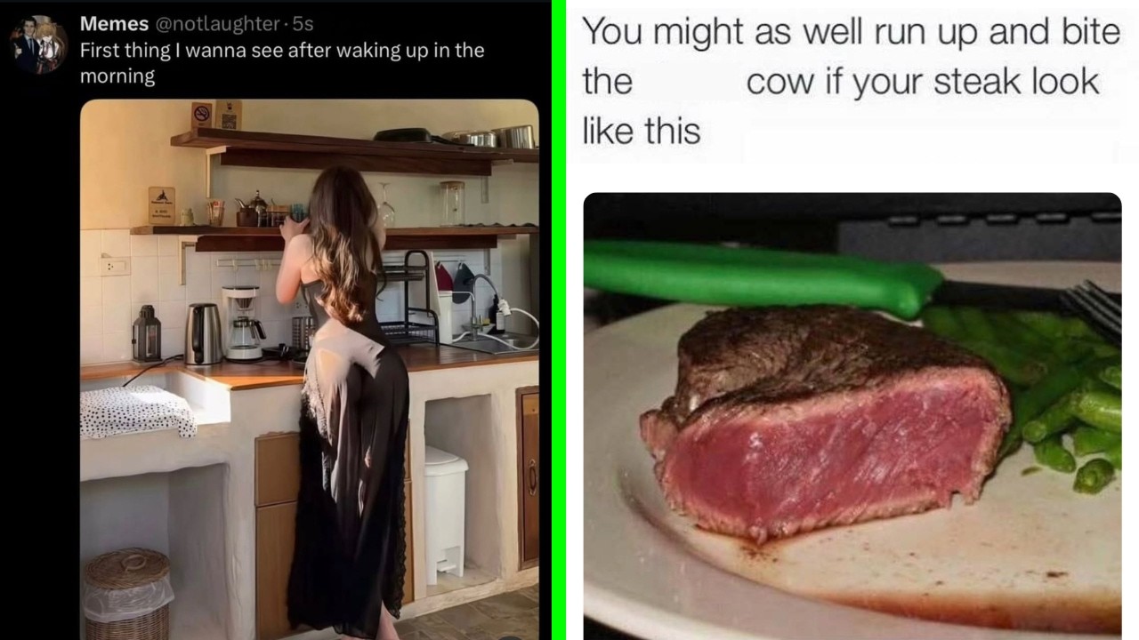 Funny Memes 163 | You might as well run up and bite the cow