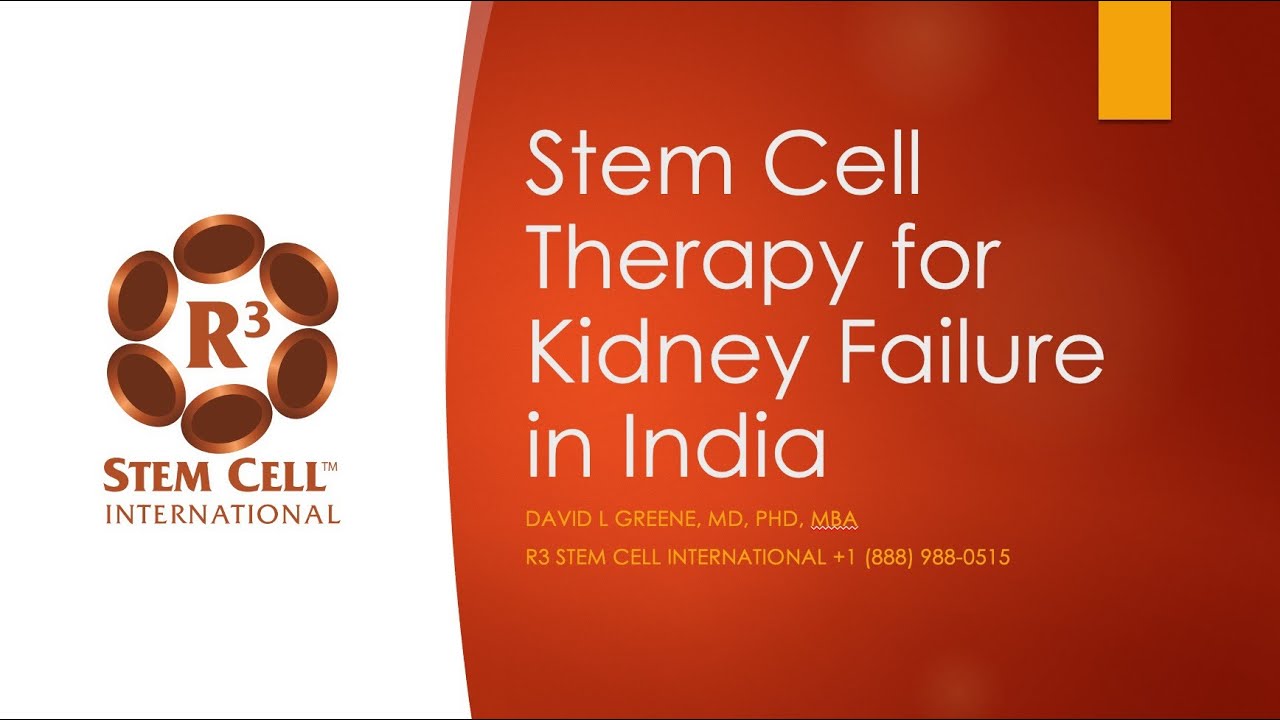 Advanced Stem Cell Therapy for Kidney Failure in India | New Delhi & Mumbai