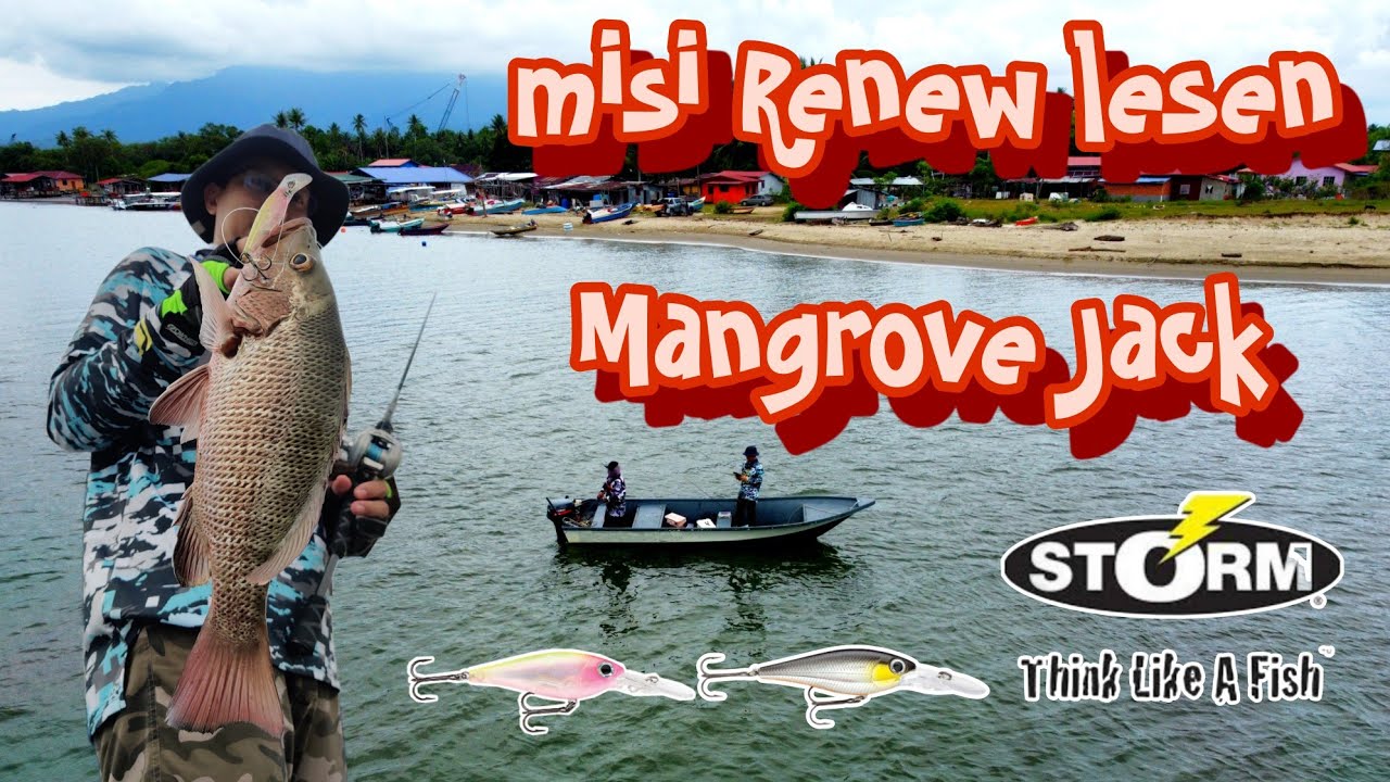 RENEW LESEN MANGROVE JACK | CASTING
