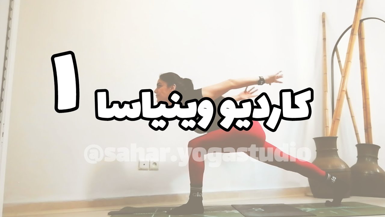 کاردیو وینیاسا ۱