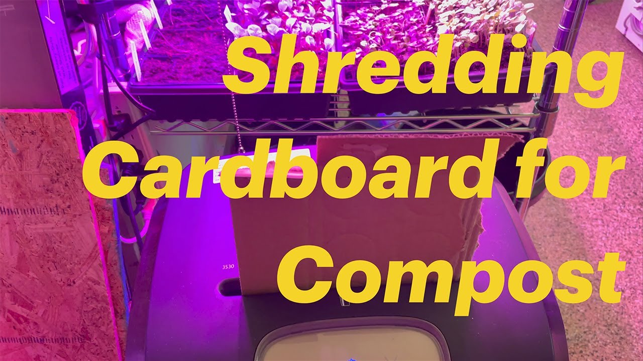 Shredding Cardboard for Compost with the Bonsaii 3S30 Evershred Pro